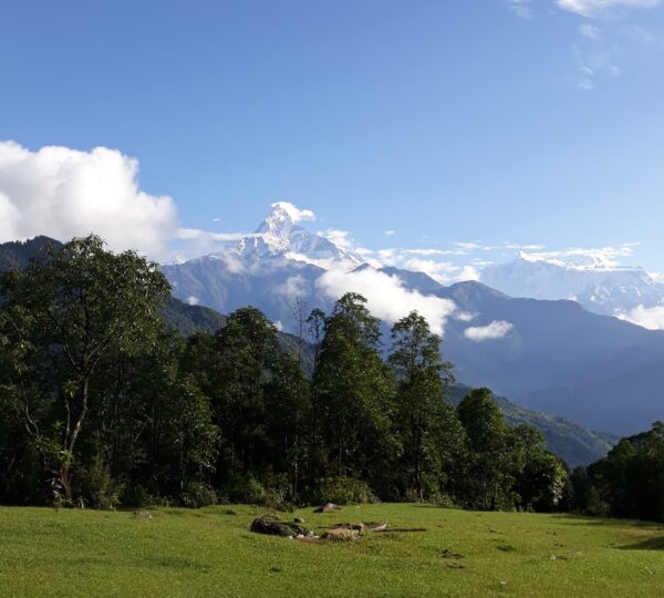 ABC Trekking