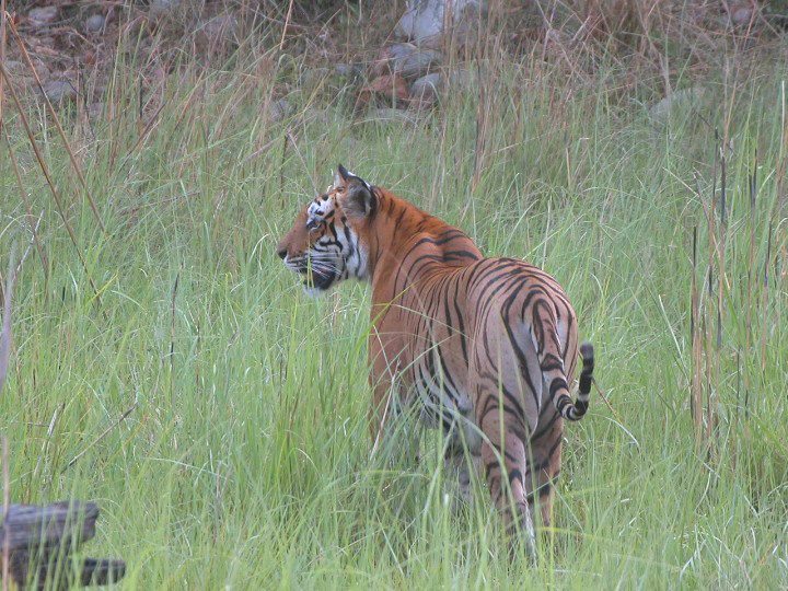 Bardiya National Park 3 Night 4 Days Trip