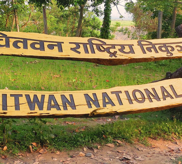 Chitwan National Park