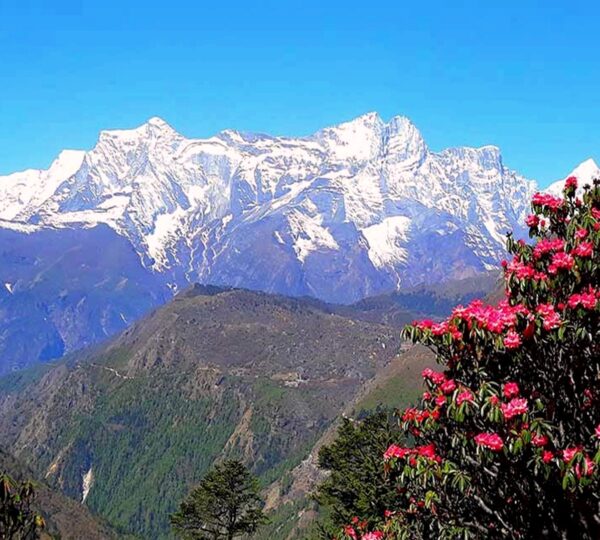 Ghorepani Poon Hill Picture
