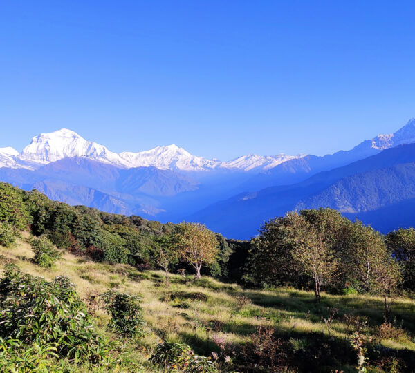 Ghorepani Poon Hill Picture