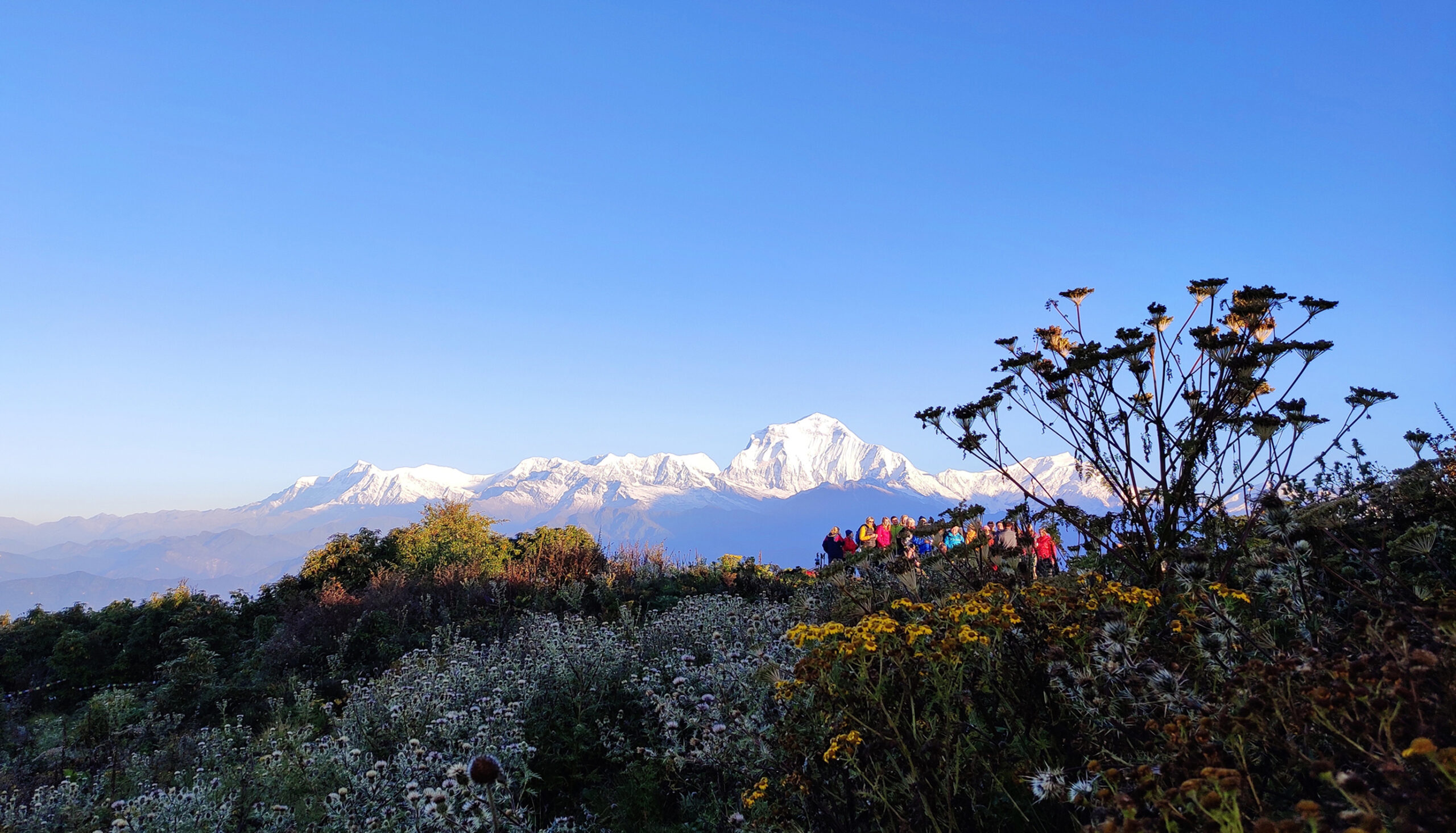 Ghorepani