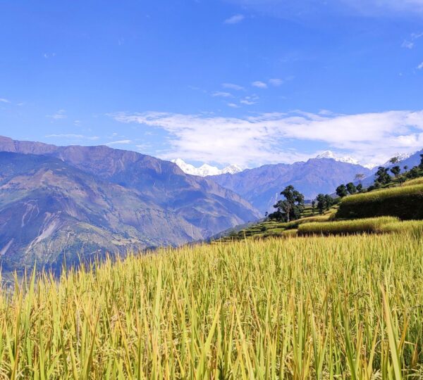Pikey Peak Trek (2)