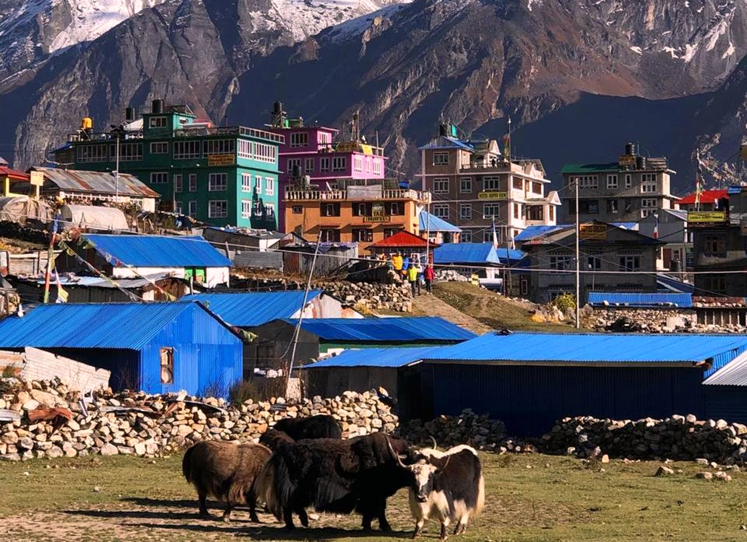 Langtang Trekking